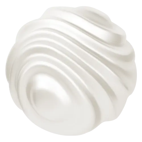 Decorative spinning image